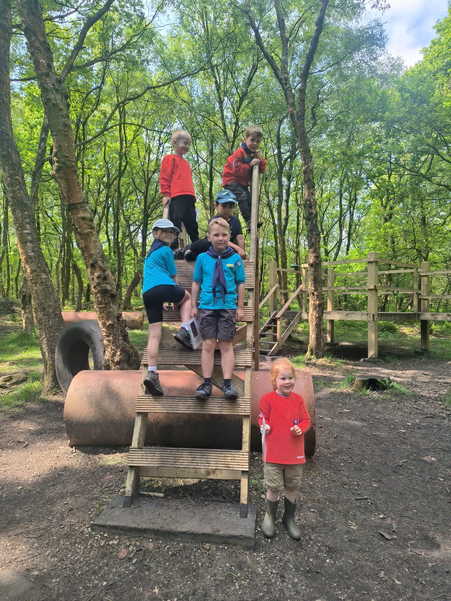 Beavers